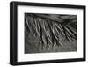 Texture Sand 2-Lee Peterson-Framed Photographic Print