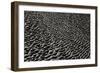 Texture Sand 6-Lee Peterson-Framed Photographic Print