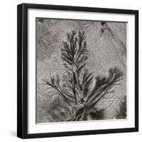 Texture Sand 8-Lee Peterson-Framed Photographic Print