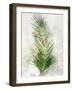 Textured Areca Palm-Ken Roko-Framed Art Print