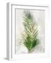 Textured Areca Palm-Ken Roko-Framed Art Print