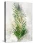 Textured Areca Palm-Ken Roko-Stretched Canvas