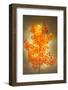 Textured Autumn-Philippe Sainte-Laudy-Framed Photographic Print