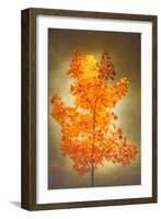 Textured Autumn-Philippe Sainte-Laudy-Framed Photographic Print