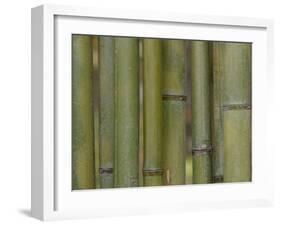 Textured Background-null-Framed Photographic Print