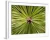 Textured Background-null-Framed Photographic Print