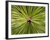 Textured Background-null-Framed Photographic Print