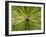 Textured Background-null-Framed Photographic Print