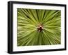 Textured Background-null-Framed Photographic Print