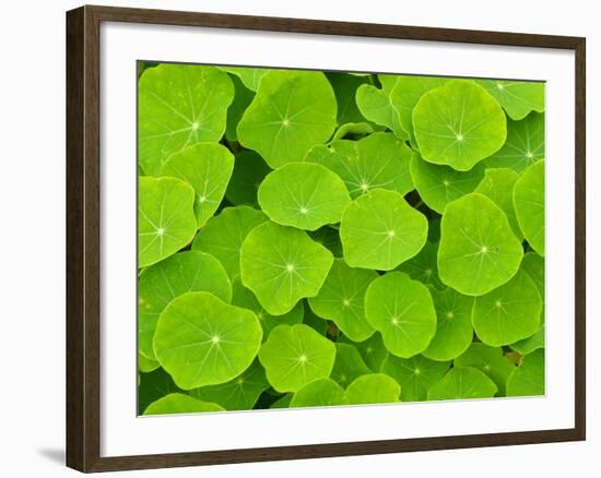 Textured Background-null-Framed Photographic Print