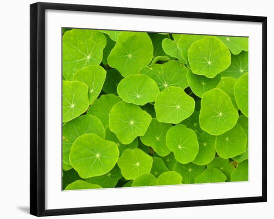 Textured Background-null-Framed Photographic Print