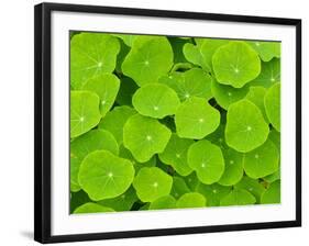 Textured Background-null-Framed Photographic Print