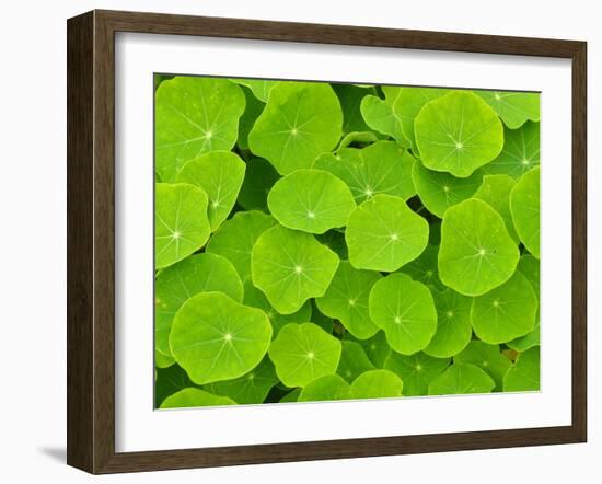 Textured Background-null-Framed Photographic Print