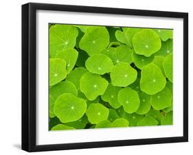 Textured Background-null-Framed Photographic Print