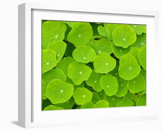 Textured Background-null-Framed Photographic Print