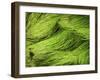 Textured Background-null-Framed Photographic Print