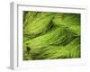 Textured Background-null-Framed Photographic Print