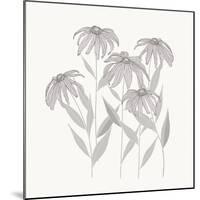 Textured Calm Flower Black Eyed Susans-Sweet Melody Designs-Mounted Art Print