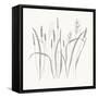 Textured Calm Wild Grasses-Sweet Melody Designs-Framed Stretched Canvas