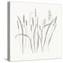 Textured Calm Wild Grasses-Sweet Melody Designs-Stretched Canvas