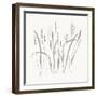 Textured Calm Wild Grasses-Sweet Melody Designs-Framed Art Print