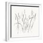 Textured Calm Wild Grasses-Sweet Melody Designs-Framed Art Print