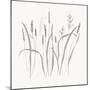 Textured Calm Wild Grasses-Sweet Melody Designs-Mounted Art Print