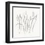 Textured Calm Wild Grasses-Sweet Melody Designs-Framed Art Print