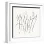 Textured Calm Wild Grasses-Sweet Melody Designs-Framed Art Print