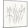 Textured Calm Wild Grasses-Sweet Melody Designs-Mounted Art Print