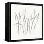 Textured Calm Wild Grasses-Sweet Melody Designs-Framed Stretched Canvas