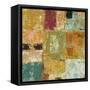 Textured Canvas 1-Chris Mills-Framed Stretched Canvas