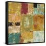 Textured Canvas 1-Chris Mills-Framed Stretched Canvas