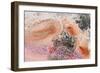 Textured Coast I-Irena Orlov-Framed Premium Giclee Print