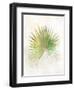 Textured Fan Palm-Ken Roko-Framed Art Print