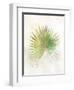 Textured Fan Palm-Ken Roko-Framed Art Print