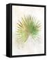 Textured Fan Palm-Ken Roko-Framed Stretched Canvas