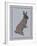 Textured Hare-Fergus Dowling-Framed Giclee Print