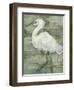 Textured Heron I-Jennifer Goldberger-Framed Art Print