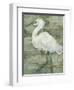 Textured Heron I-Jennifer Goldberger-Framed Art Print