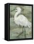 Textured Heron I-Jennifer Goldberger-Framed Stretched Canvas