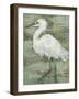 Textured Heron I-Jennifer Goldberger-Framed Art Print