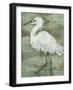 Textured Heron I-Jennifer Goldberger-Framed Art Print