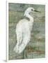 Textured Heron II-Jennifer Goldberger-Framed Art Print