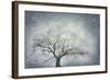 textured nature-Phillipe Manguin-Framed Giclee Print