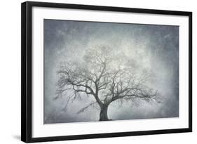 textured nature-Phillipe Manguin-Framed Giclee Print