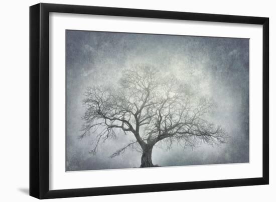 textured nature-Phillipe Manguin-Framed Giclee Print