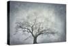 textured nature-Phillipe Manguin-Stretched Canvas