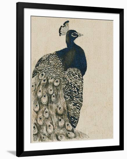 Textured Peacock I-Grace Popp-Framed Art Print