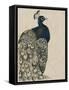 Textured Peacock I-Grace Popp-Framed Stretched Canvas